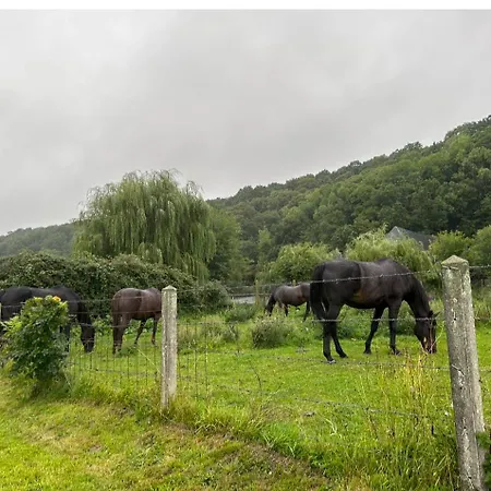 Maison Normande Renovee 15mn Deauville Holiday home